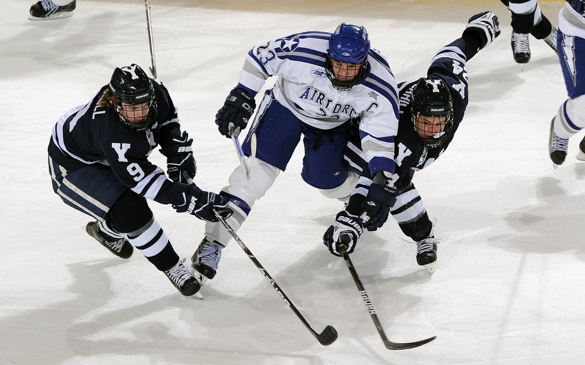 墨尔本联球员士气高涨，墨尔本联队什么水平