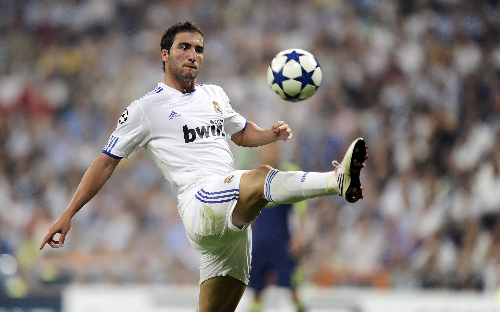 意甲联赛一名球员受伤导致无法出场,意甲阵容